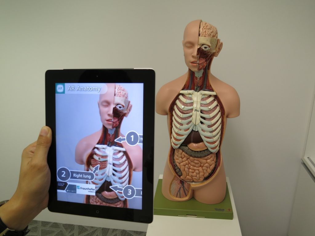 Immersive technology 2024 - Ar being used in medical education